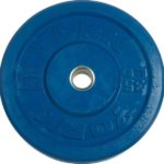 York Barbell Usa 20 Kg Blue Rubber Training Bumper Plate