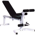 Pro Series 210 With 205 FI Bench plus 202 Leg Curl Attachment