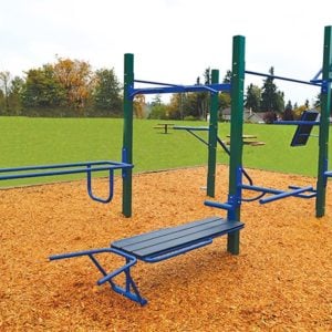 StayFIT - Tricep Dip - Activity Bench - Push Up Dip - Vertical Knee Raise - 11 Activities
